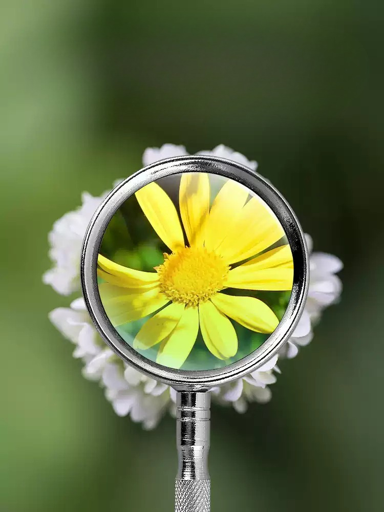 10X 20X Handheld Magnifying Gl - Hobby Is Science 评论和价格
