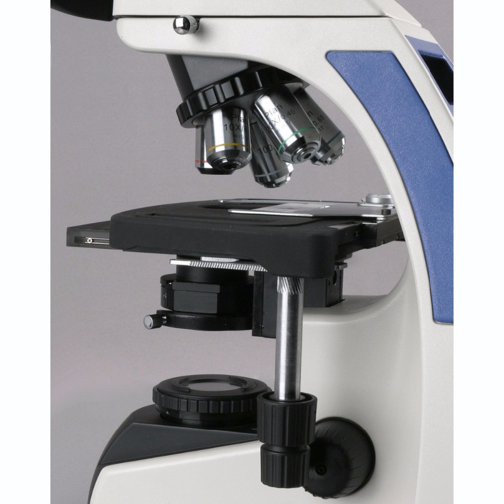 AmScope T720 Series Infinity-C - Amscope Microscope Compound 40X-1000X 评论和价格